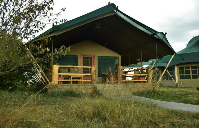 mara masisha camp