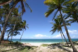 Kilifi-1 - 3H Wild Adventures